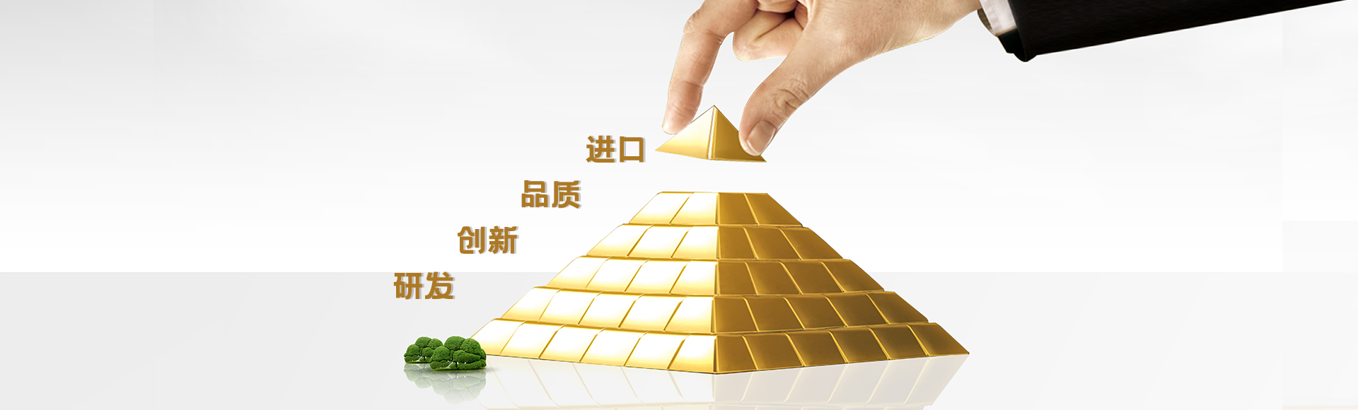 大圖3